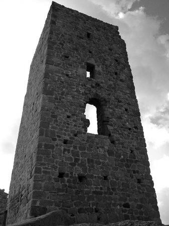 servizi di traduttrice Olbia Tempio